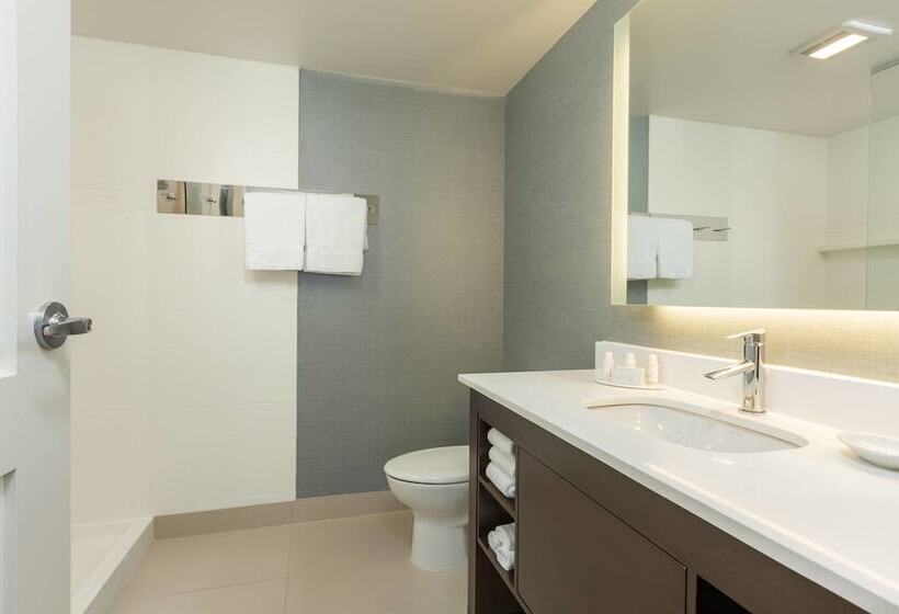 Люкс Адаптированный для Инвалидов, Residence Inn By Marriott Portland Hillsboro/brookwood