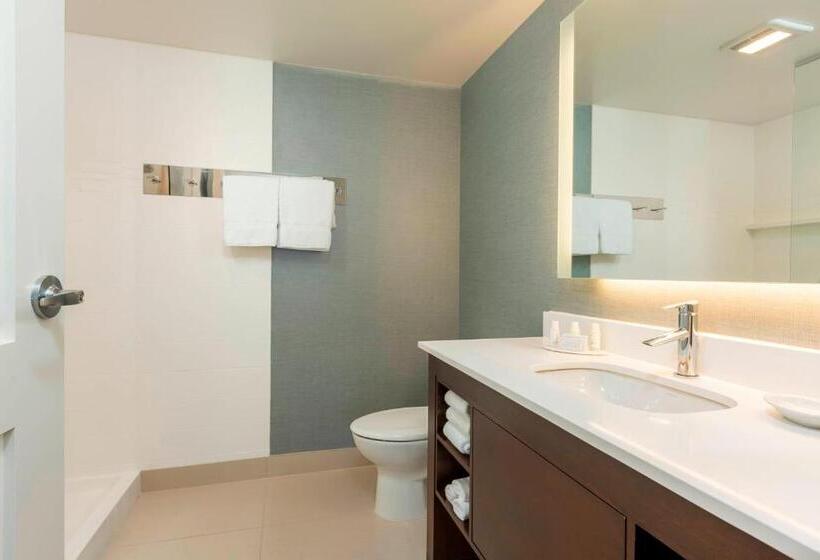 Студио Стандарт Кровать Кинг, Residence Inn By Marriott Portland Hillsboro/brookwood