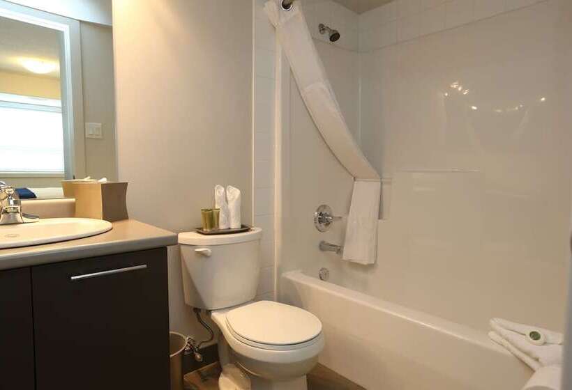 سوئیت 2 خوابه, East Village Suites