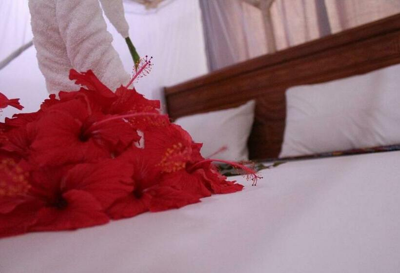 آپارتمان 1 خوابه همکف, Tumbo Swahili Villa