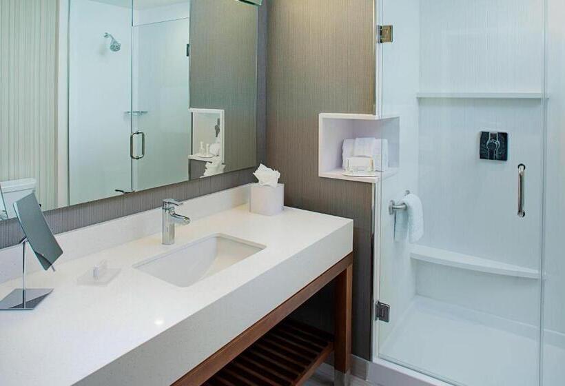 带大床的标准间, Courtyard By Marriott Dallas Carrollton And Carrollton Conference Center