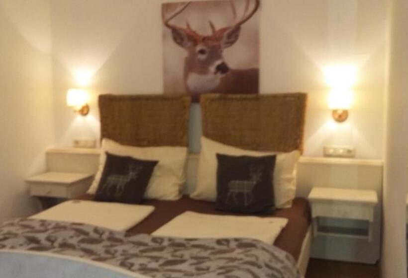 Номер Basic, Platzhirsch Zur Alten Wagnerei Gästehaus
