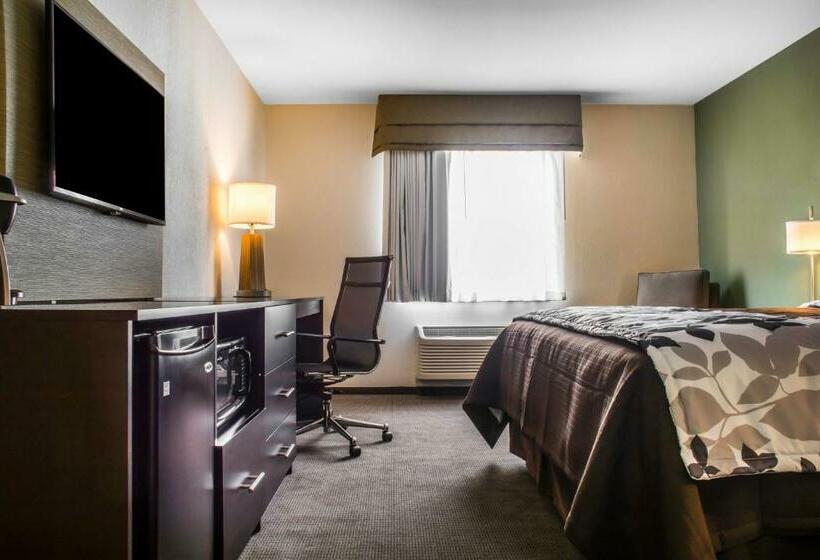 带大床的标准间, Sleep Inn & Suites East Syracuse