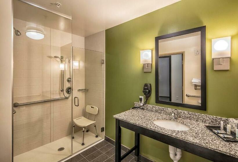 带大床的标准间, Sleep Inn & Suites East Syracuse