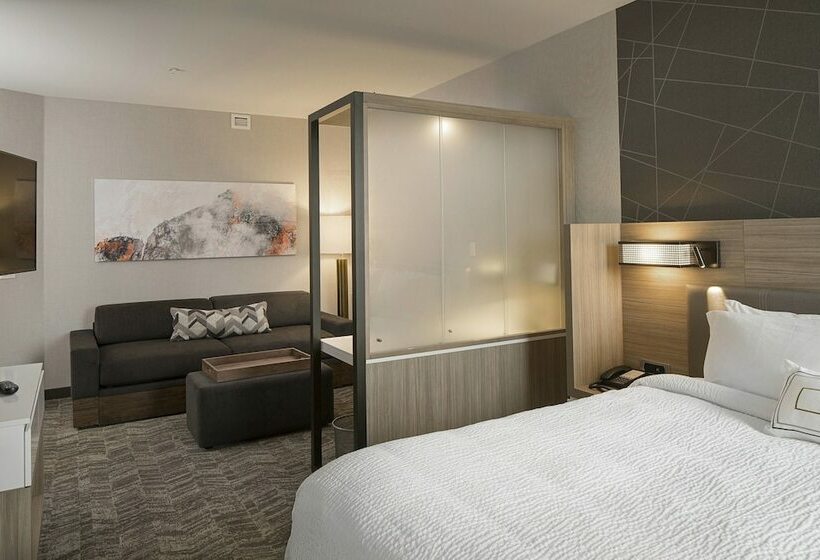 Люкс, Springhill Suites By Marriott Kalispell