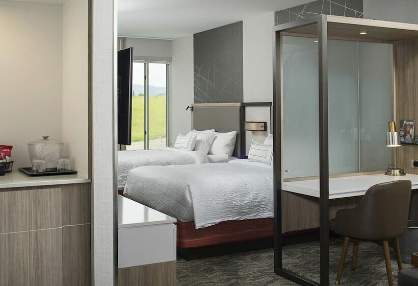 Люкс, Springhill Suites By Marriott Kalispell
