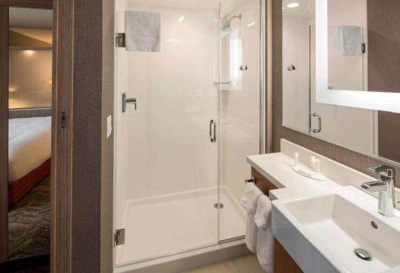Люкс Кровать Кинг, Springhill Suites By Marriott Kalispell