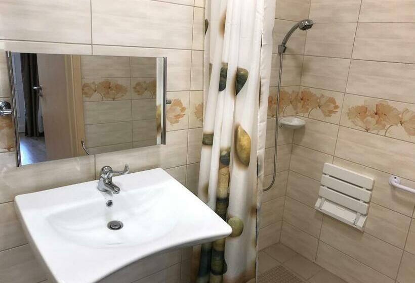 Номер Стандарт Адаптированный для Инвалидов, Tó Party Apartman