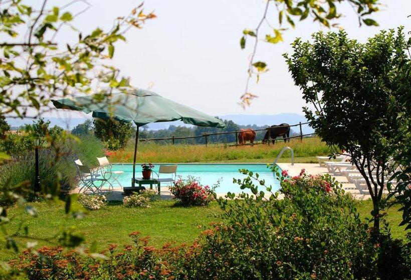 Family Suite, Collina Blu
