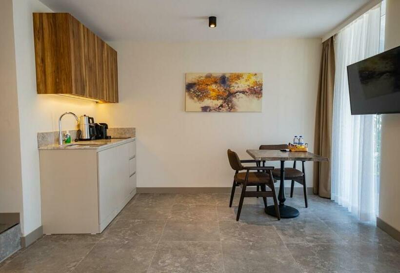 Suite with Terrace, Bd Suites