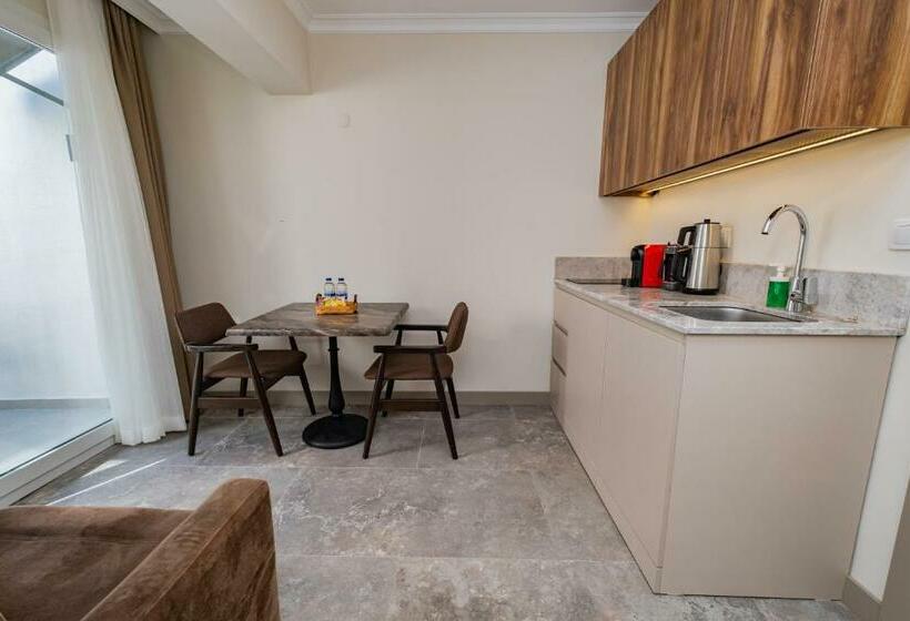 سوییت با چشم‌انداز باغ, Bd Suites