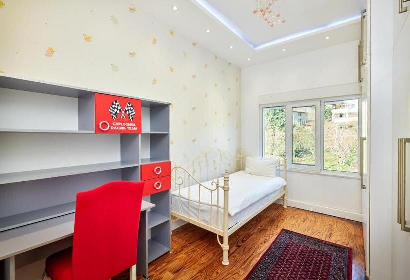 Апартаменты Deluxe 1 Спальня, Beyaz Köşk Geyve