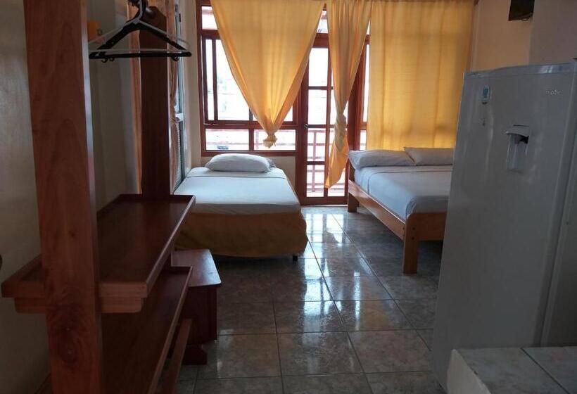 جناح مطل على المدينة, Hostal Miconia