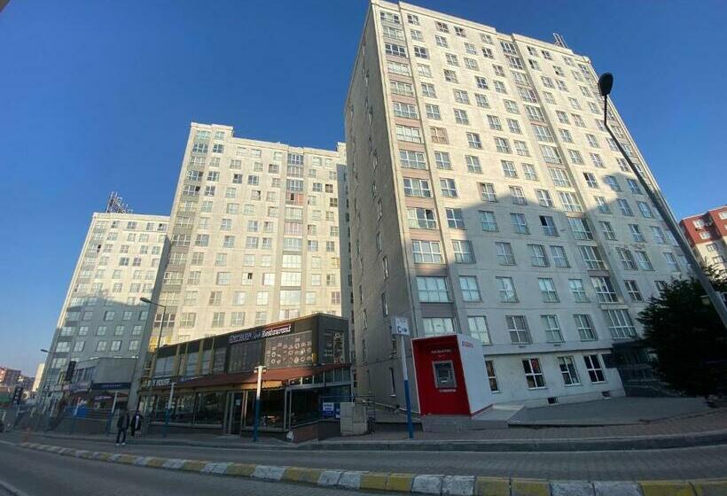 Студия Стандарт, Pin Suites