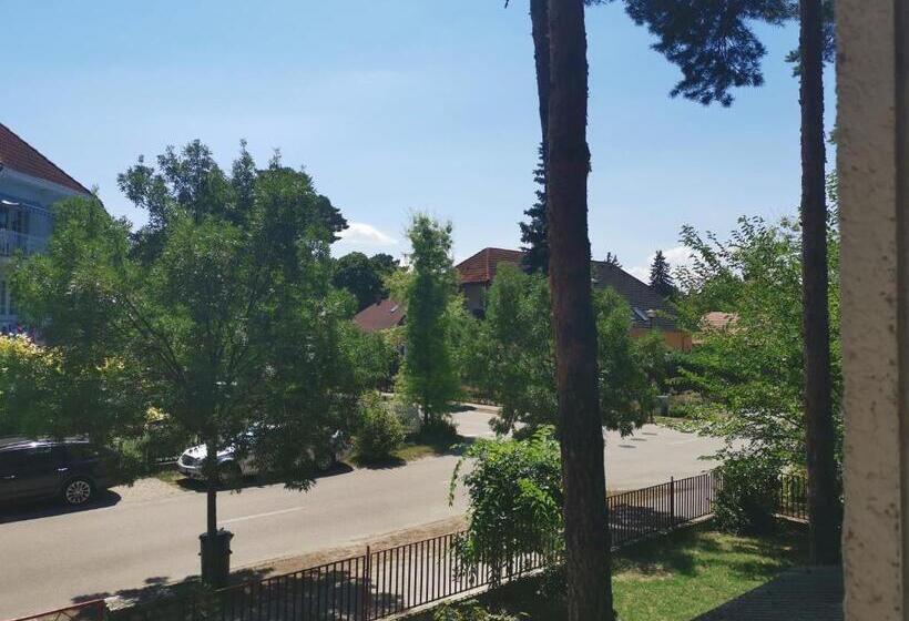 Семейный Номер, Zakkant Lak