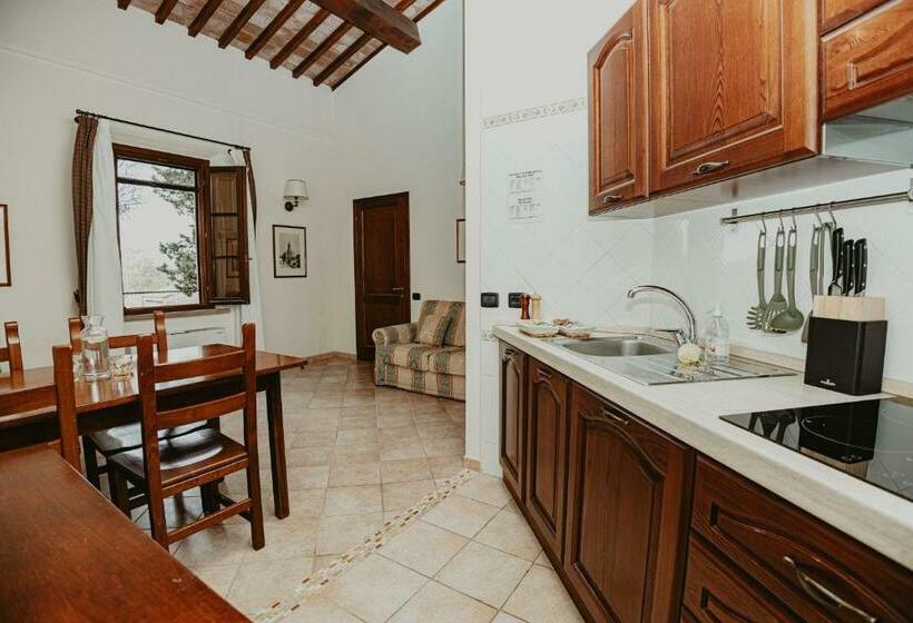 Апартаменты Дюплекс 1 Спальня, Agriturismo Terra Di Dio Toscanizzazione