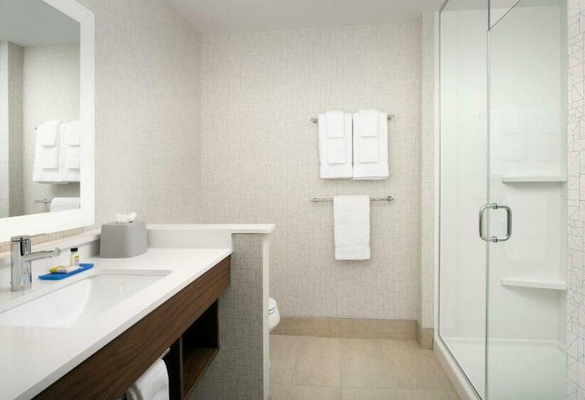 이그제큐티브 룸 킹사이즈 침대, Holiday Inn Express Atlanta Sw   Newnan, An Ihg