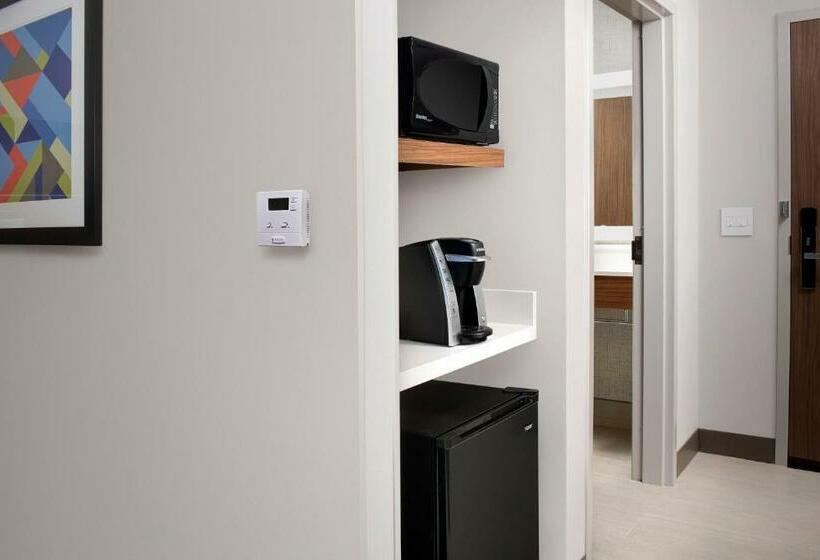장애인을 위한 스탠다드 룸, Holiday Inn Express Atlanta Sw   Newnan, An Ihg