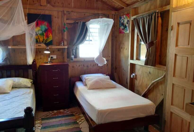استودیوی استاندارد, Mainroad Suite