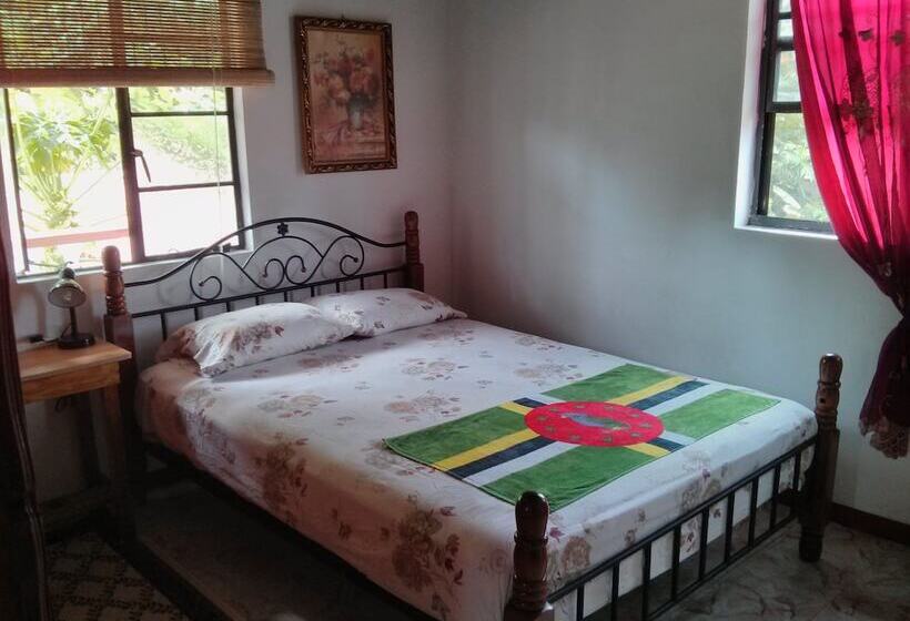 ویلای 3 خوابه, Mainroad Suite