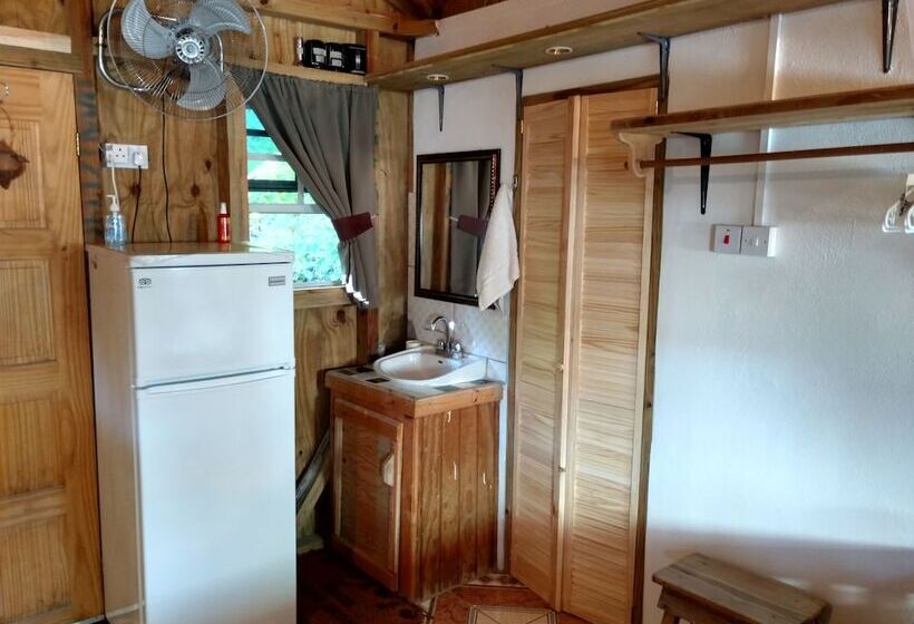 استودیوی استاندارد, Mainroad Suite