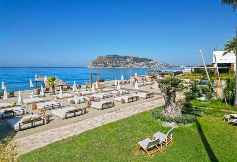 اتاق استاندارد با چشم‌انداز دریا, Day One Beach Resort & Spa   Adult Only