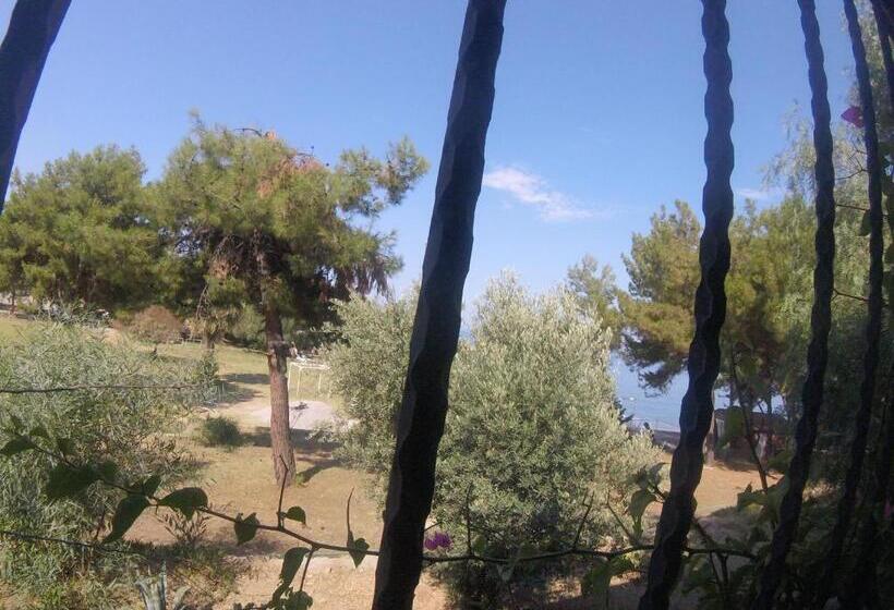 Номер Стандарт, Rainbow Bay Ozdere Beach