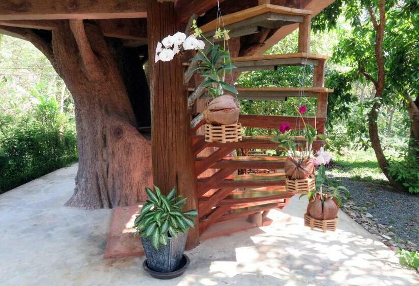 Номер Deluxe с Балконом, Macura Resort