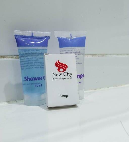 سوییت اجرایی, Newcity Hotel & Suites