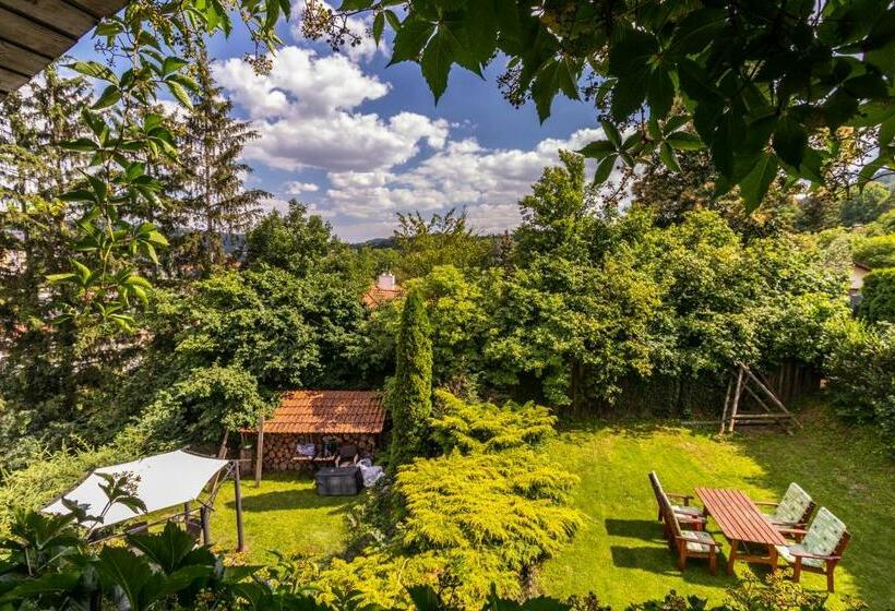 Люкс Deluxe Кровать Кинг, Boutique Penzion Rech