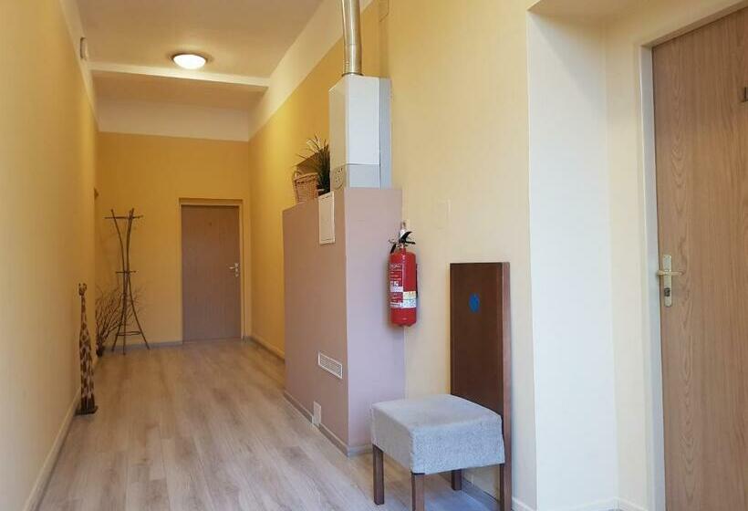Номер Стандарт, Pension Elektra