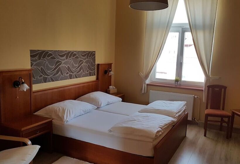 Номер Стандарт, Pension Elektra