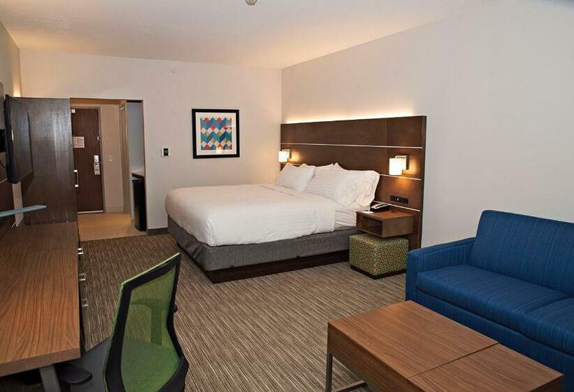スイート, Holiday Inn Express & Suites   Rantoul, An Ihg