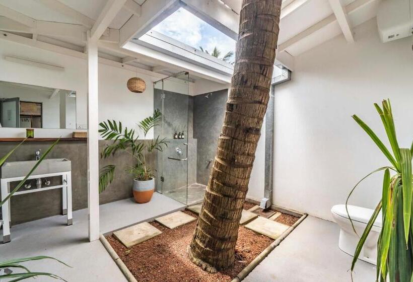 高级大房间, Global Surf Lodge Kabalana