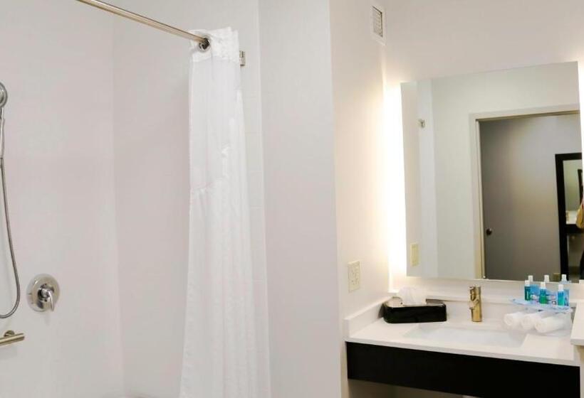 חדר דלוקס מותאם לאנשים עם מוגבלויות, Holiday Inn Express & Suites Kingston Ulster, An Ihg