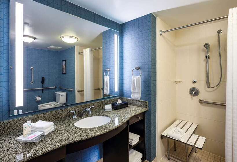 سوییت, Home2 Suites By Hilton Roanoke, Va