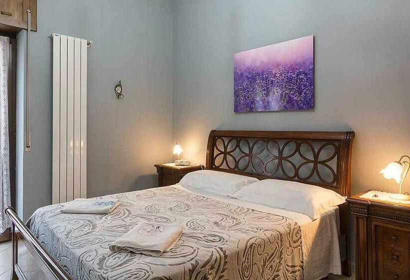 Номер Стандарт, Coccinella B&b A Tufo