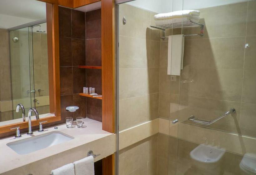 스탠다드 룸, Orfeo Suites Hotel Sierras Chicas