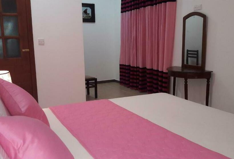 经济房, New Rani Inn