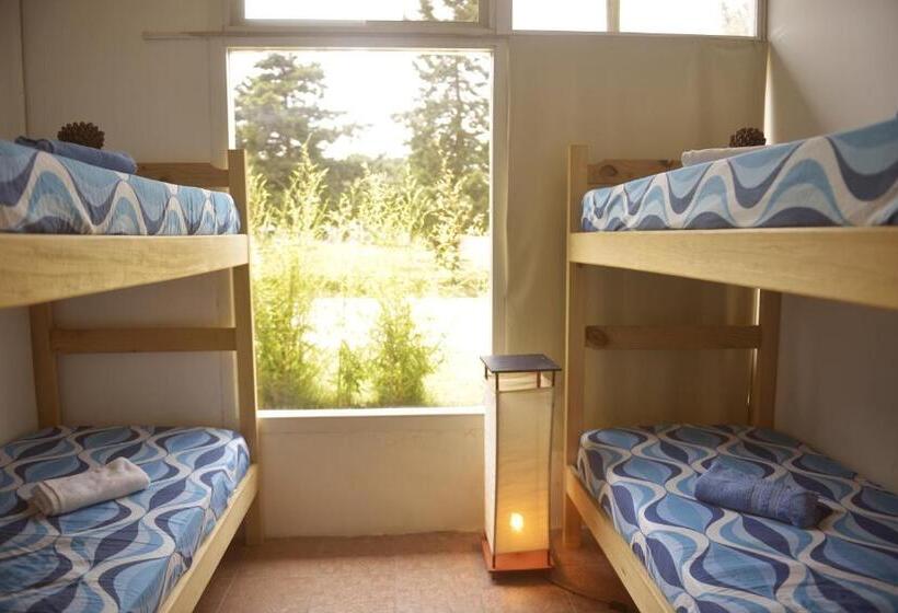 스탠다드 룸 공동 욕실, Pinamar Hostel Casa De Verano