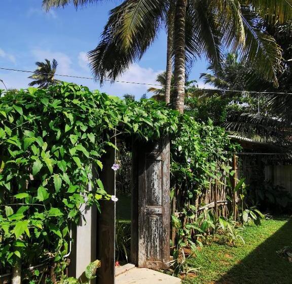 Номер Стандарт, Back Yard Madiha   Restaurant And Rooms