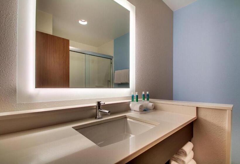 Люкс Адаптированный для Инвалидов, Holiday Inn Express & Suites Charleston Ne Mt Pleasant Us17, An Ihg