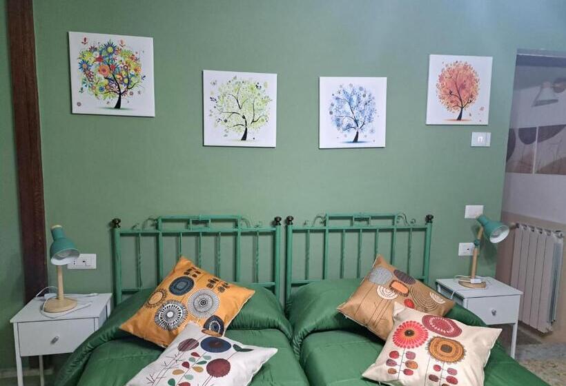 Студия Стандарт, B&b Vivilmatese