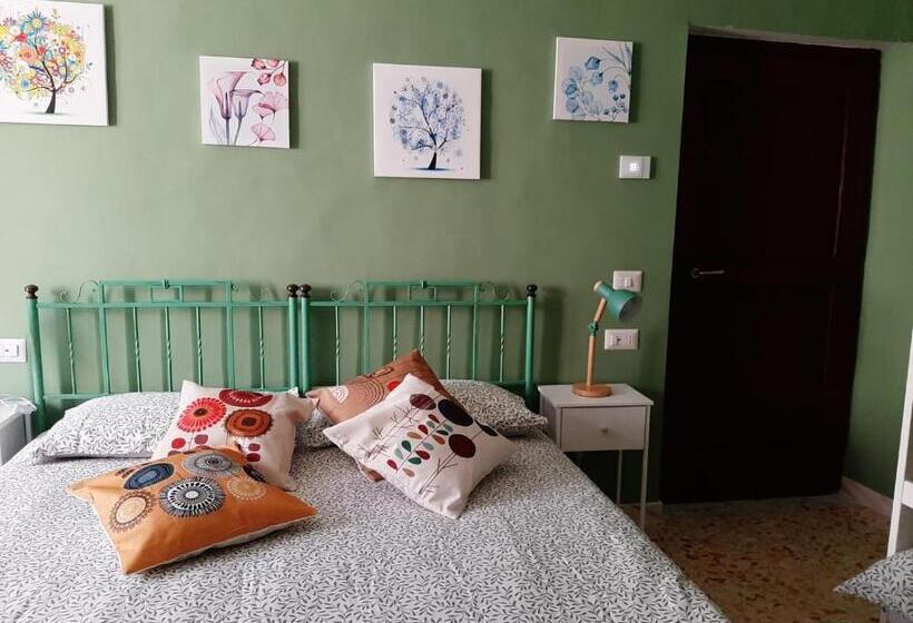 Студия Стандарт, B&b Vivilmatese