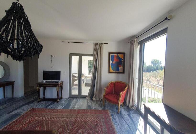 اتاق استاندارد با تخت بزرگ, Villa Blanche