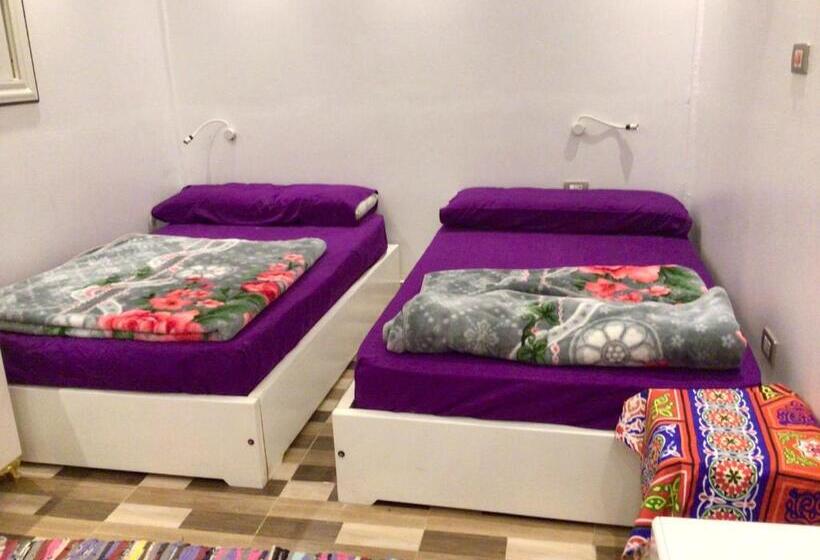 اتاق استاندارد, Salatoos Mango Garden And Guesthouse
