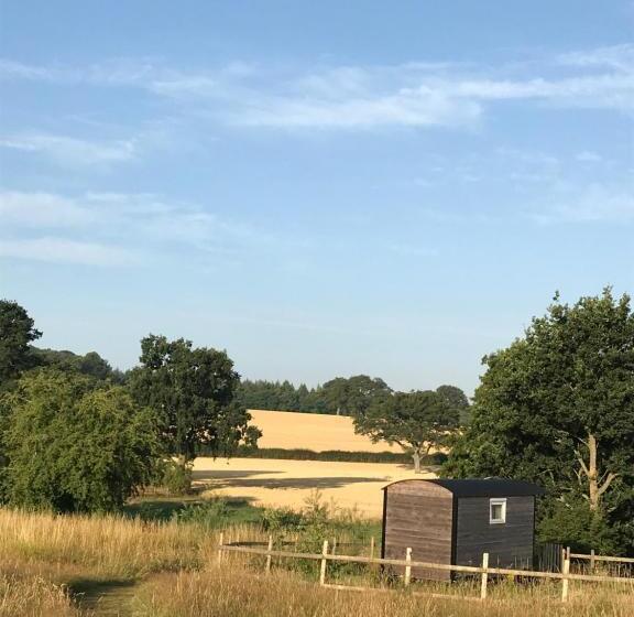 Шале 1 Спальня, Wellbank Shepherds Hut