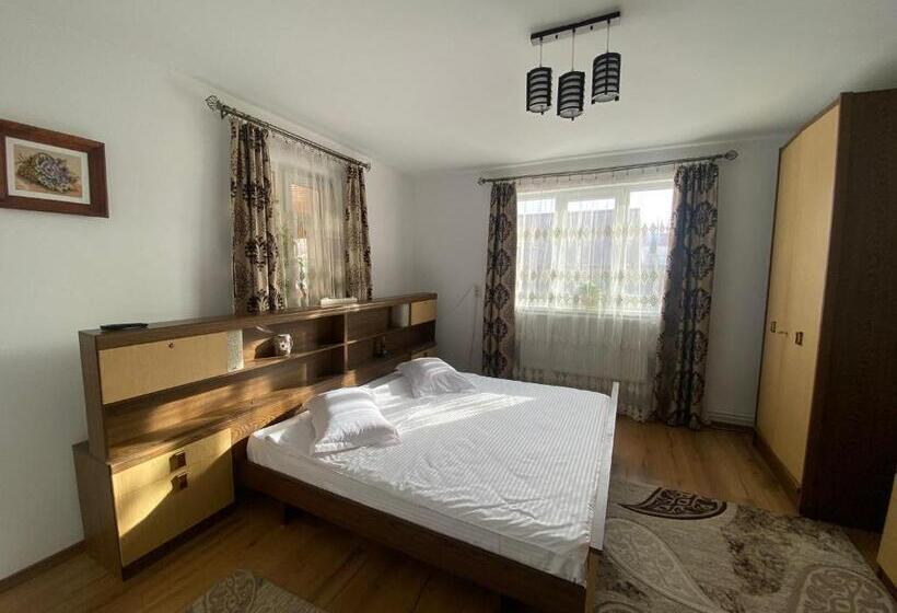 آپارتمان 2 خوابه, Casa Irina