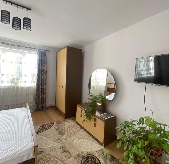 آپارتمان 2 خوابه, Casa Irina