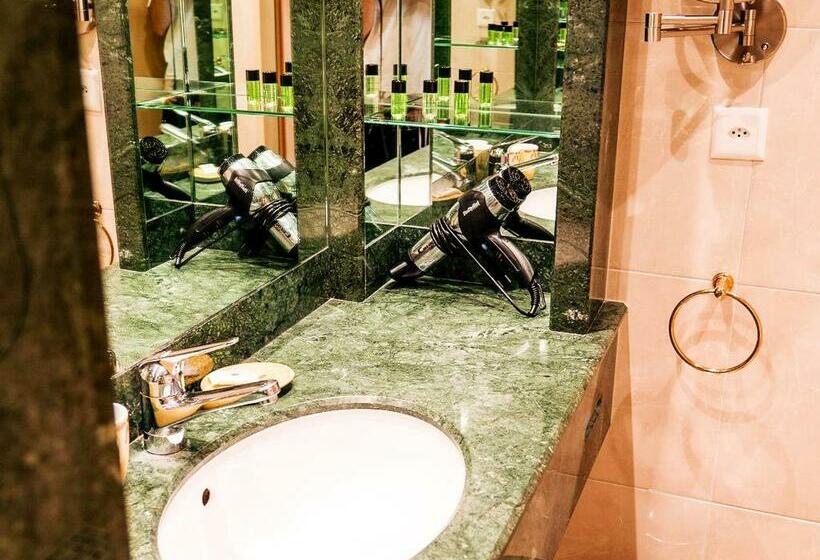 اتاق استاندارد با چشم‌انداز کوهستان, Hillsite Smart Hotel Flims